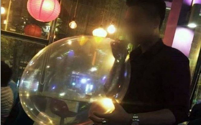 Hà Nội xử phạt hàng loạt nhà hàng quán bar cho sử dụng bóng cười  Pháp  luật  Vietnam VietnamPlus