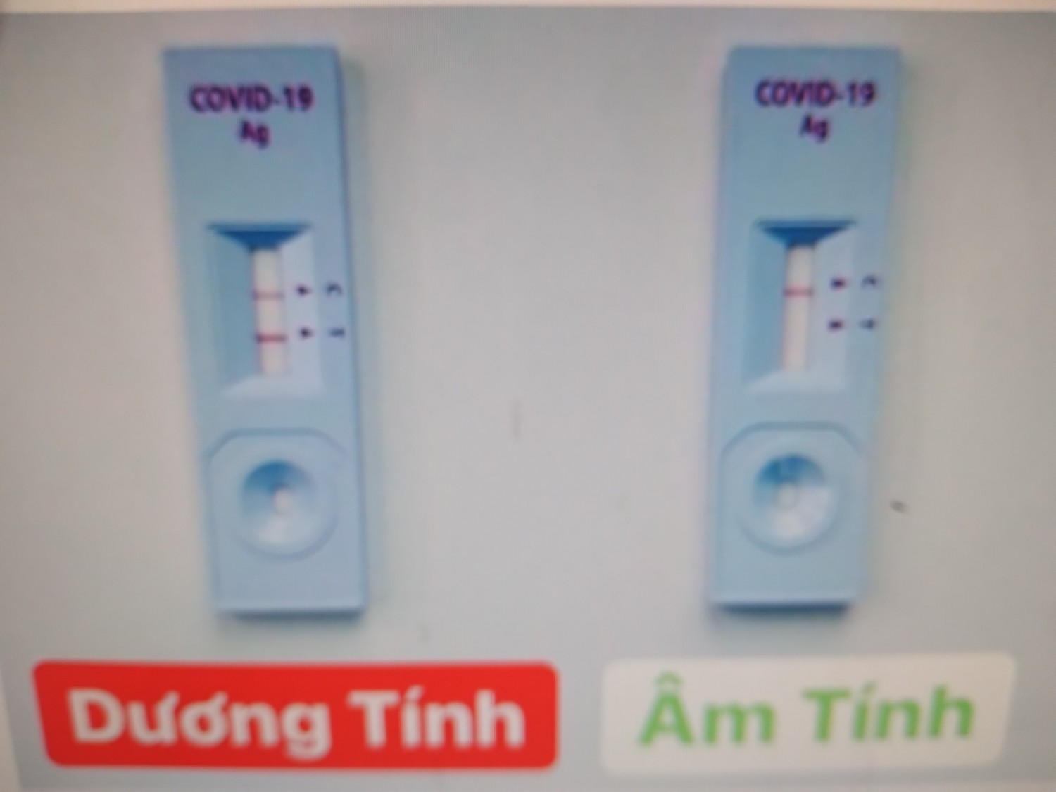 Hướng dẫn tự thực hiện xét nghiệm COVID-19 bằng test nhanh kháng ...